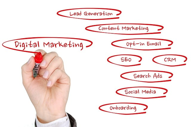 Ontdek de kunst van SEO: het succesverhaal van een specialist uit Arnhem